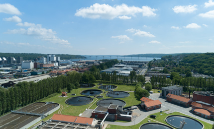 DJI 0024