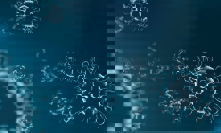 Virus