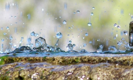 Water 2630618