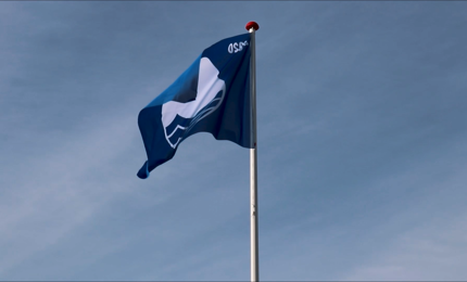Blåt flag