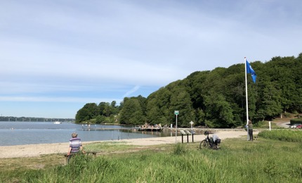 Blåt flag ved Vejle Fjord